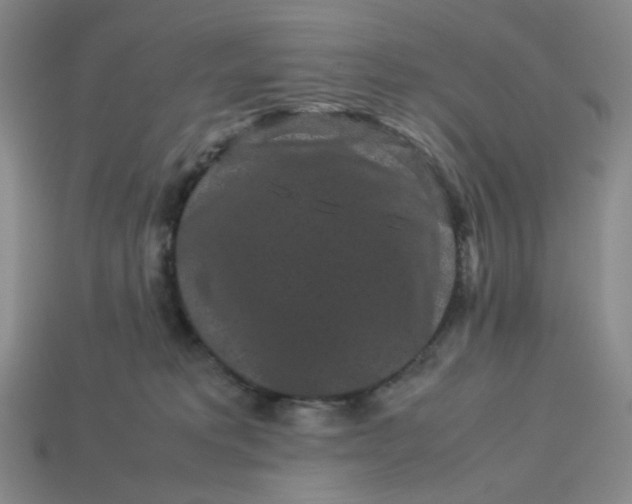 X0000113260229200910011414