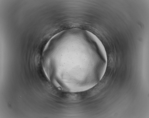 X0000113260230200910011414