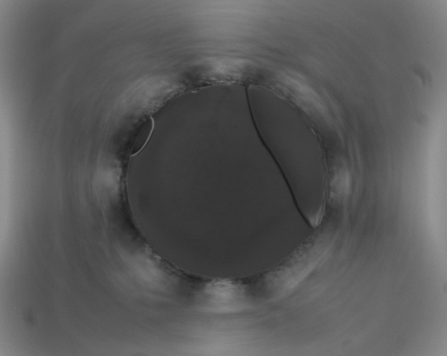 X0000113260231200910011414