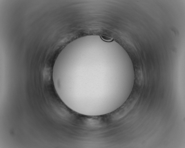 X0000113260232200910011414