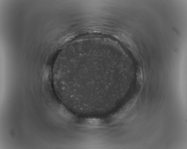 X0000113260233200910011414