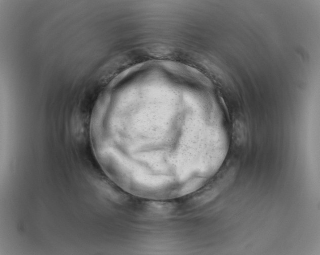 X0000113260234200910011414