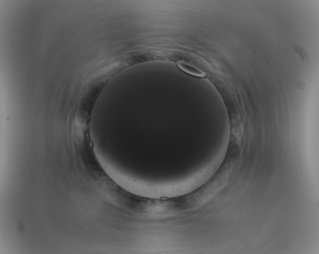 X0000113260235200910011414