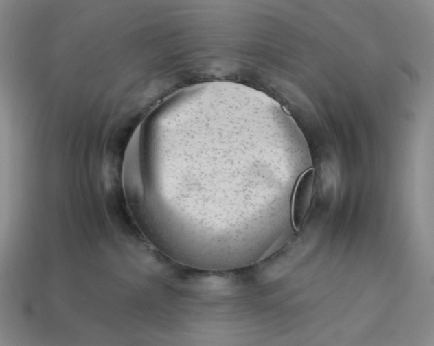 X0000113260236200910011414