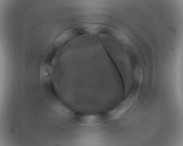 X0000113260237200910011414