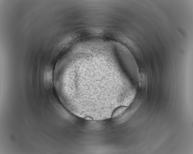X0000113260238200910011414