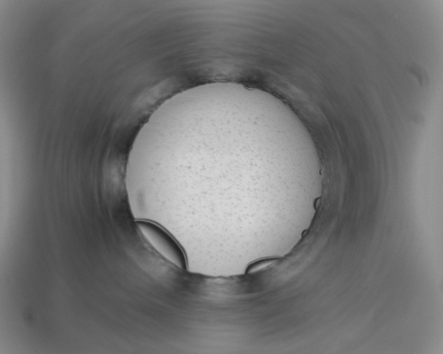 X0000113260240200910011414