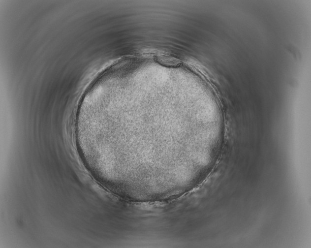 X0000113260241200910011413