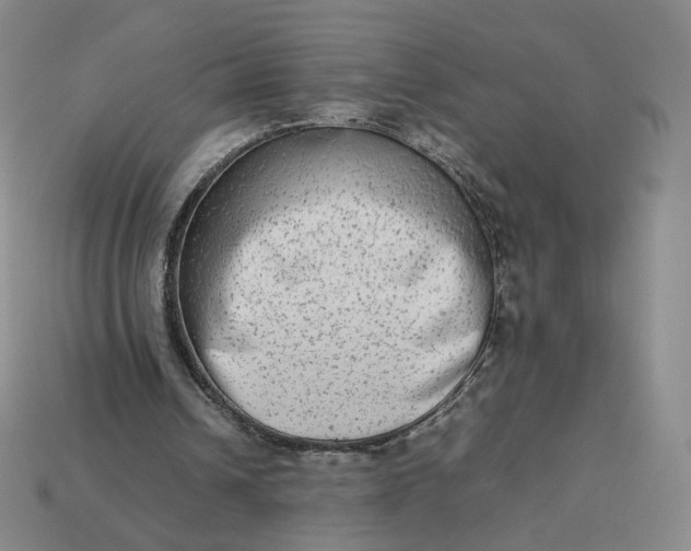 X0000113260242200910011413