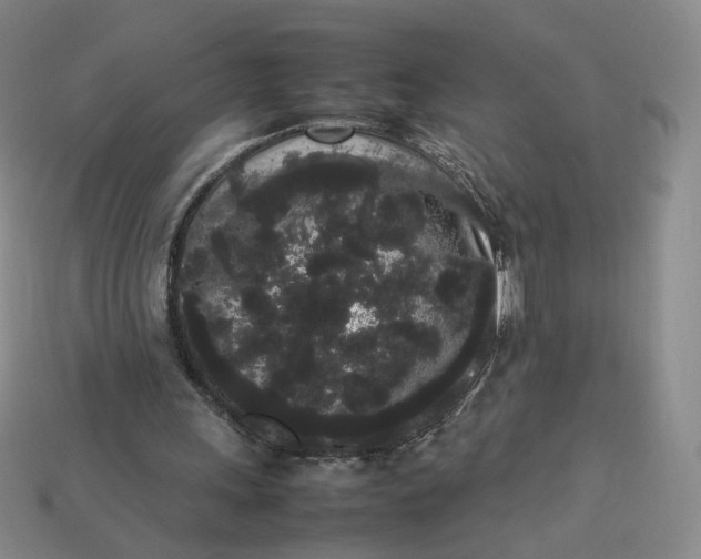 X0000113260243200910011413