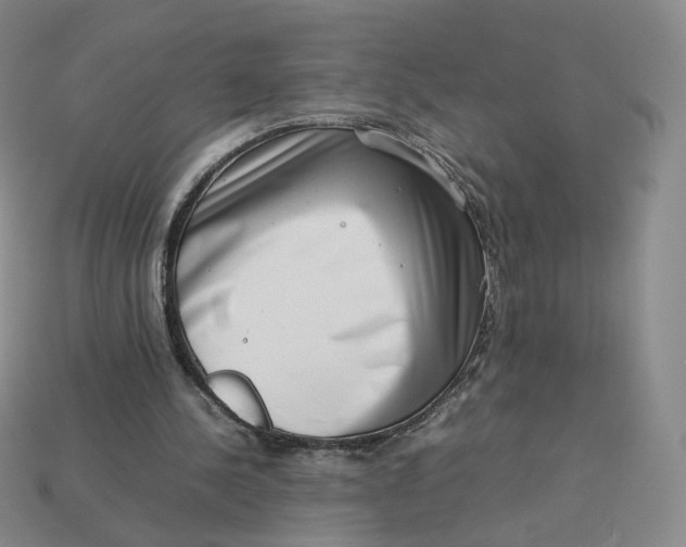 X0000113260244200910011413