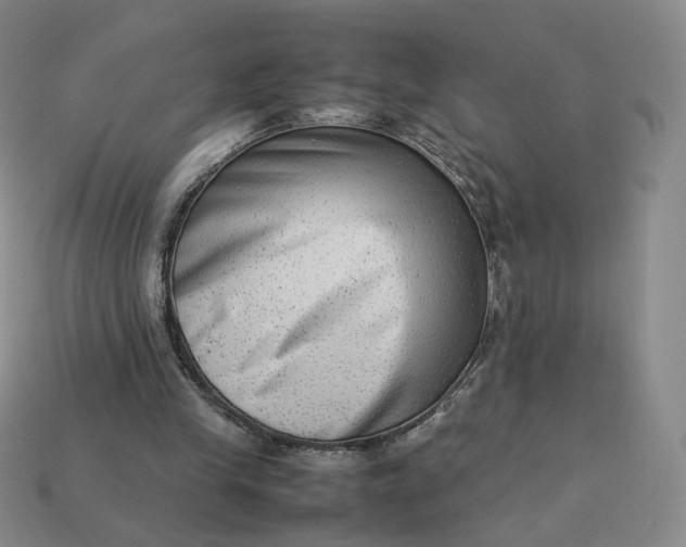 X0000113260245200910011413