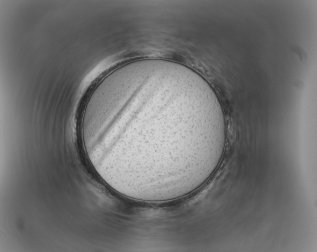 X0000113260246200910011413