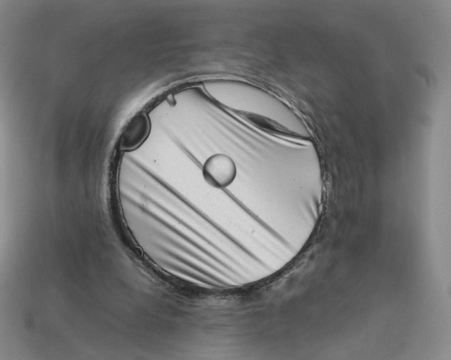 X0000113260248200910011413