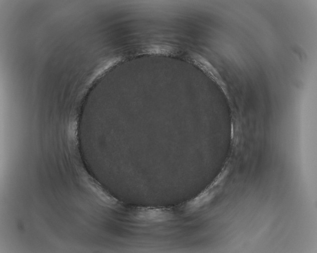 X0000113260249200910011413