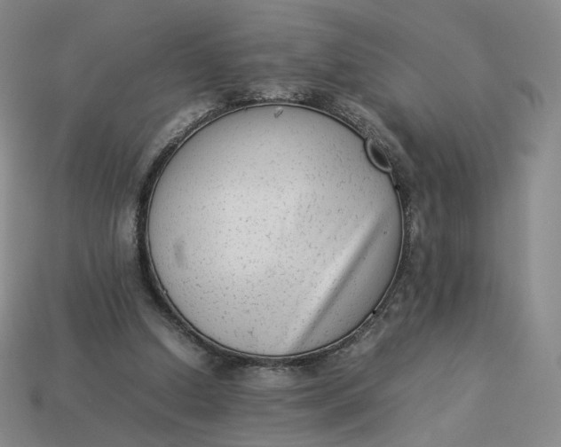 X0000113260250200910011413