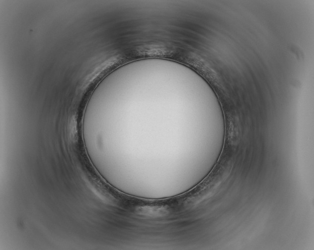 X0000113260251200910011413