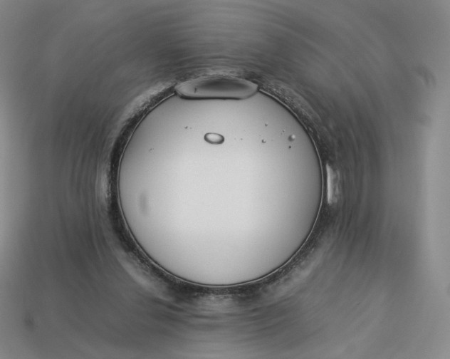 X0000113260252200910011413
