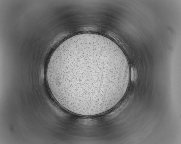 X0000113260253200910011413