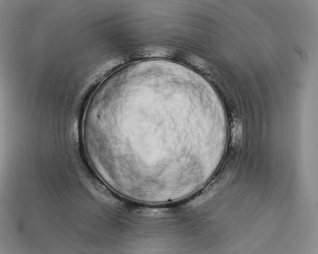 X0000113260254200910011413