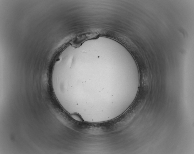 X0000113260256200910011413