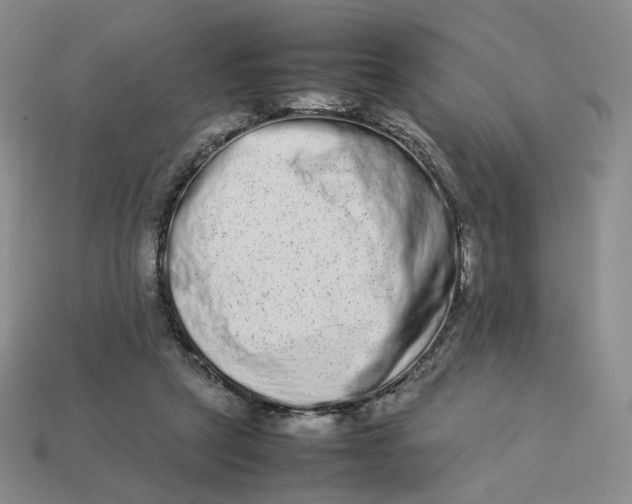 X0000113260257200910011413