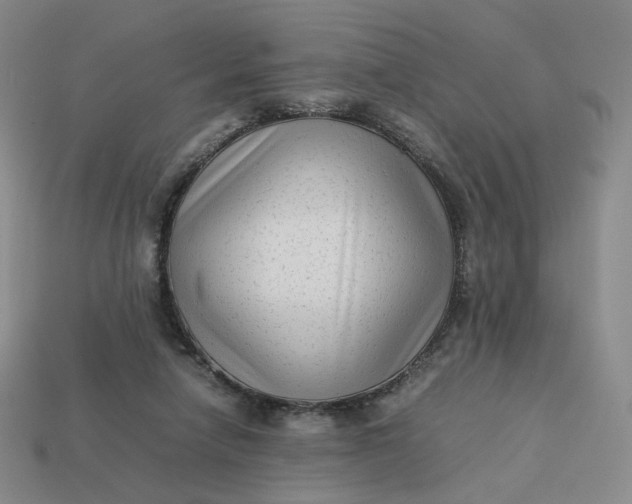 X0000113260258200910011413