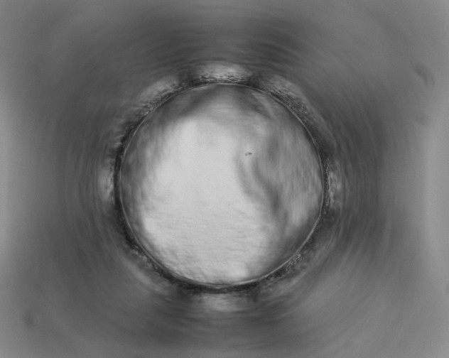 X0000113260259200910011413