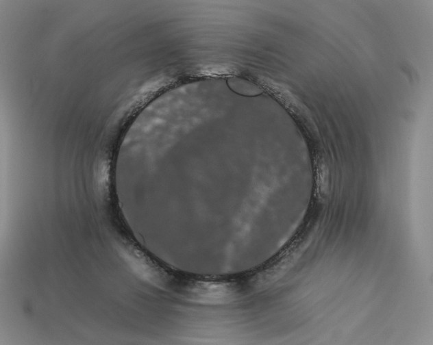 X0000113260260200910011413