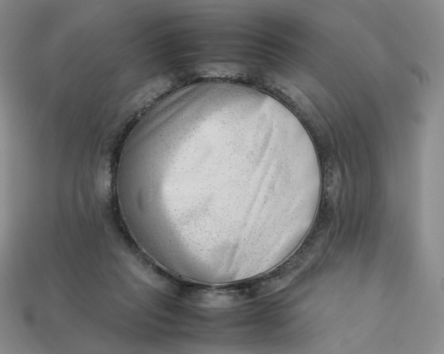 X0000113260261200910011413