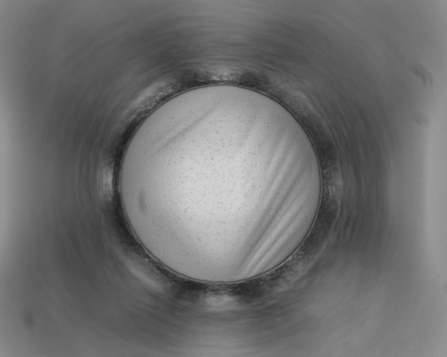 X0000113260262200910011413
