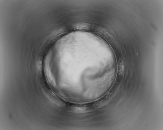 X0000113260263200910011413