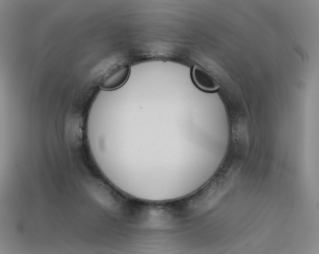 X0000113260264200910011413