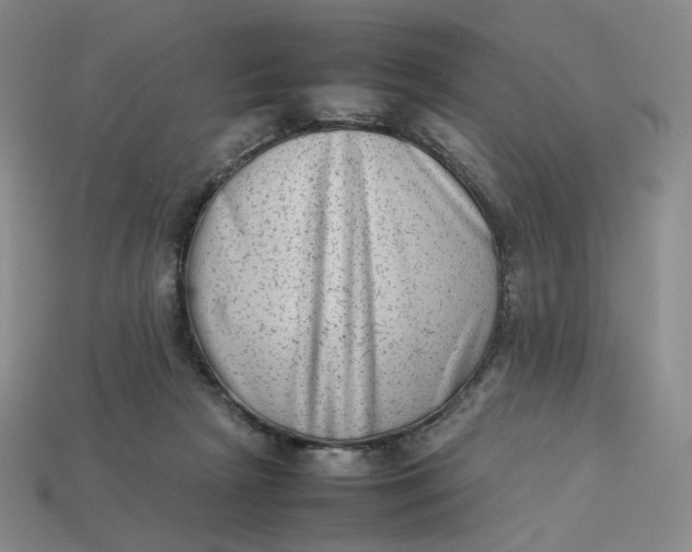 X0000113260265200910011413