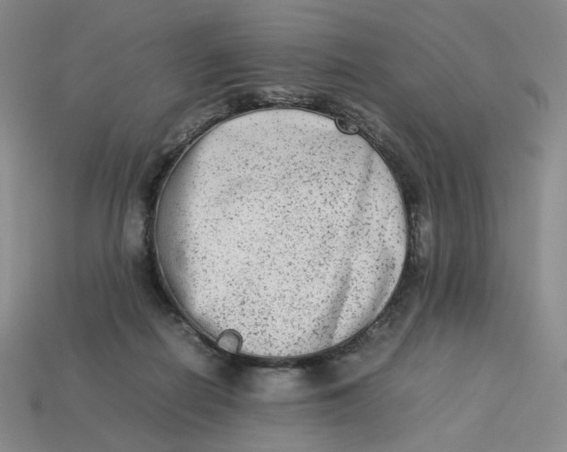 X0000113260266200910011413