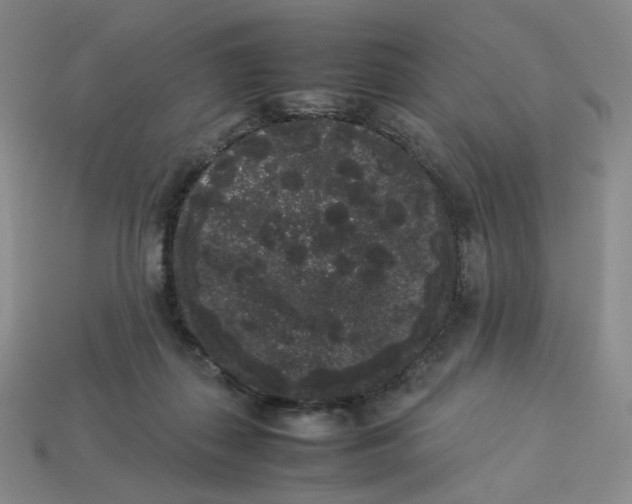 X0000113260267200910011413