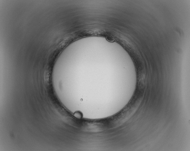 X0000113260268200910011413