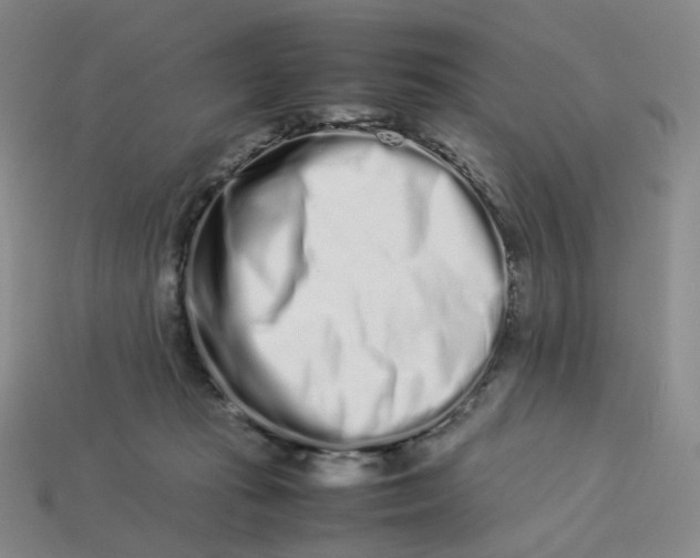X0000113260269200910011413