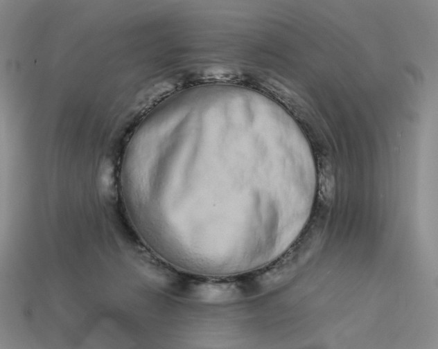X0000113260270200910011413