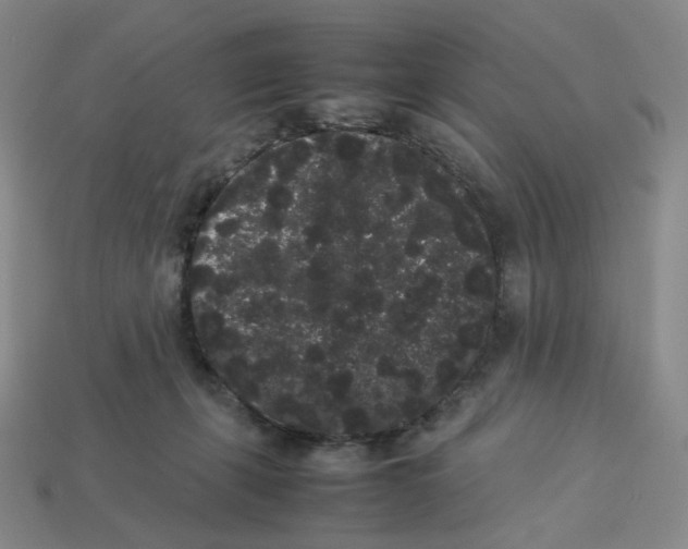 X0000113260271200910011414