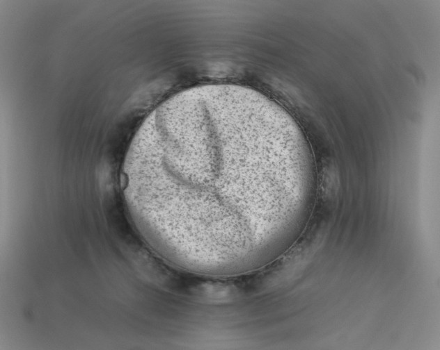 X0000113260272200910011414