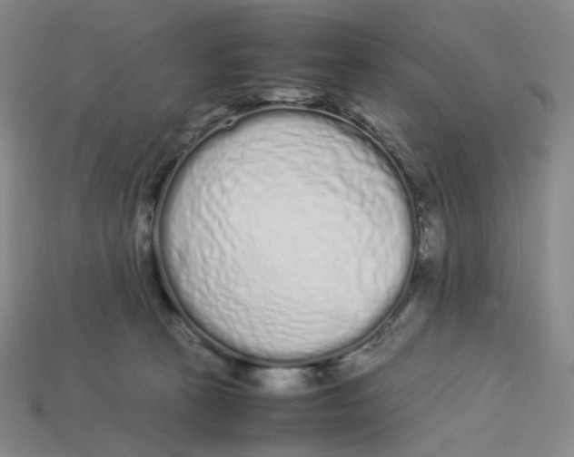X0000113260273200910011414