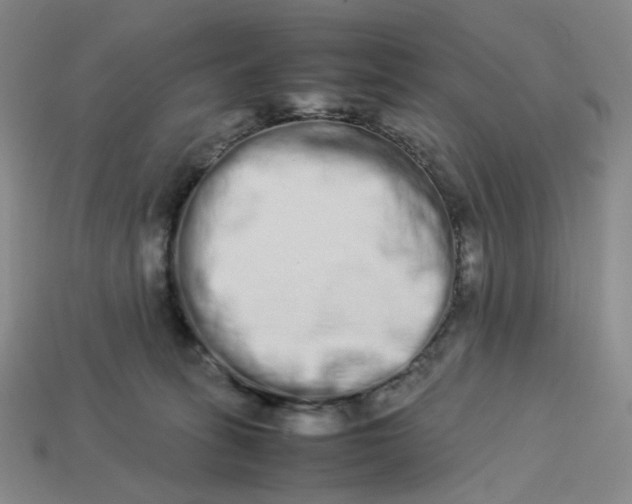 X0000113260275200910011414