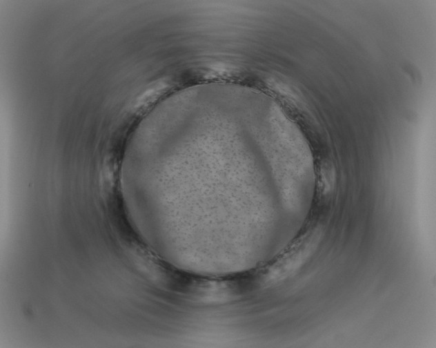 X0000113260276200910011414