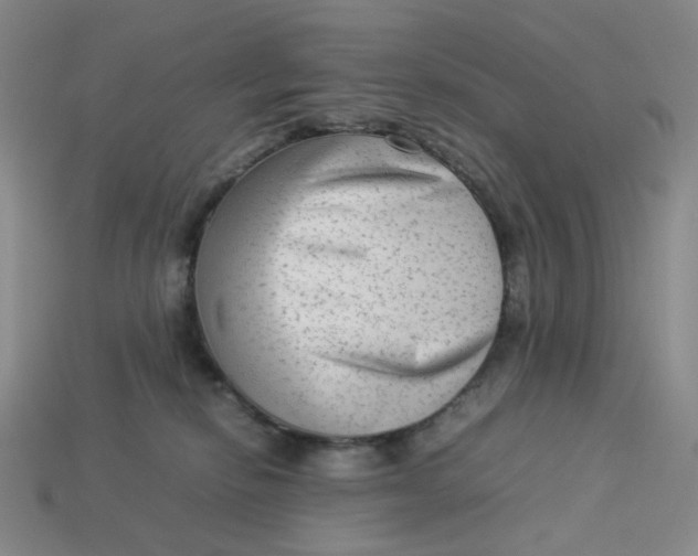X0000113260278200910011414