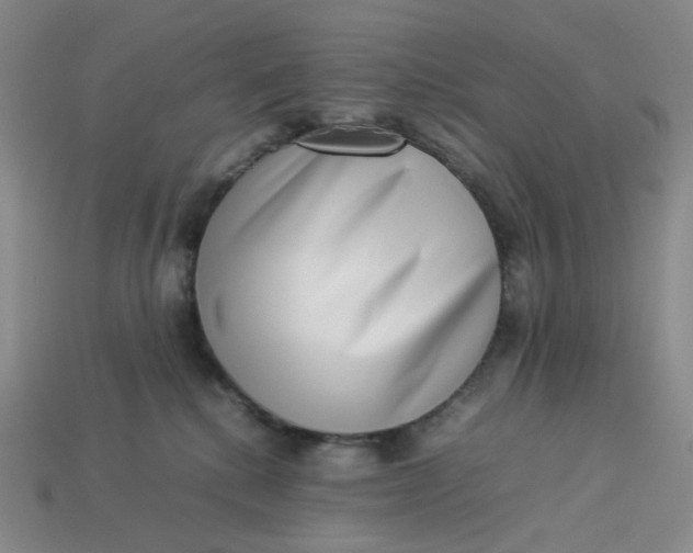 X0000113260280200910011414