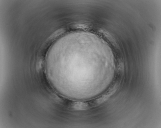 X0000113260281200910011414