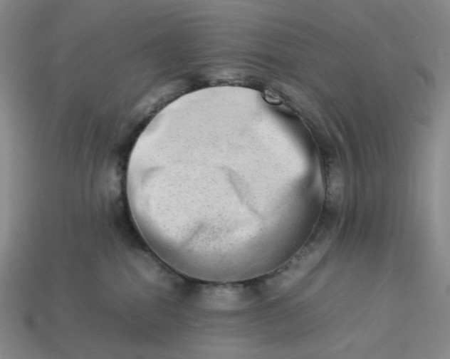 X0000113260282200910011414