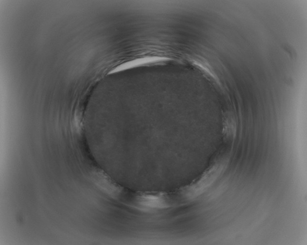 X0000113260285200910011414