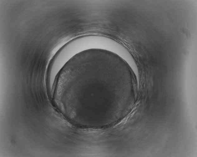 X0000113260292200910011413